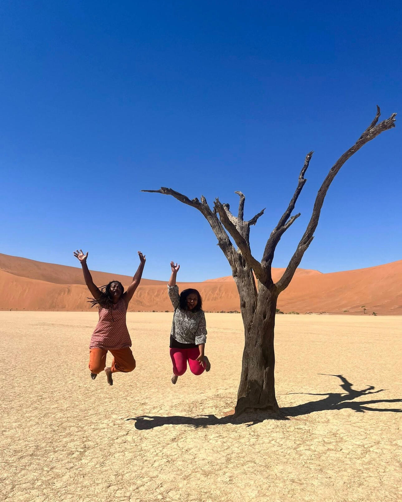 Hacking Vocal en Namibie